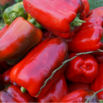 вирощування перцю