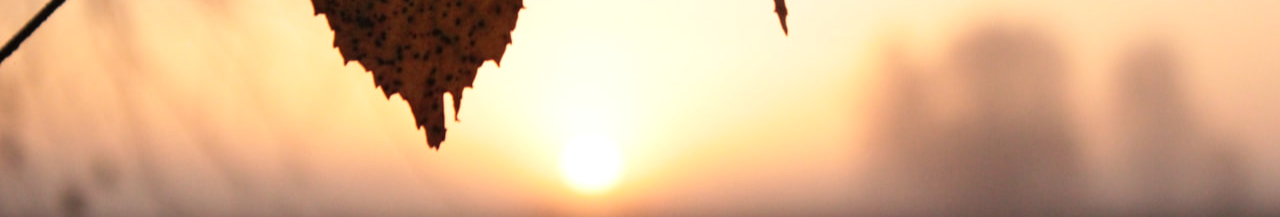 Дощі та поривчастий вітер: якою буде погода на Волині впродовж робочого тижня