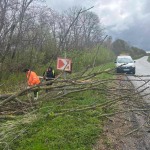 Перекинута зупинка, побите авто і повалені дерева: наслідки буревію на Волині