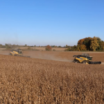 На Волині завершують збір зернових - який урожай