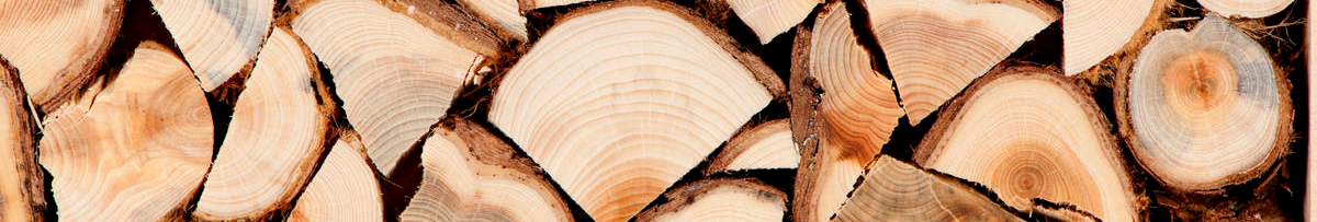 Волинська громада надає переселенцям дрова та торф