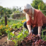 Що обов’язково посадити на городі до Великодня, а що — після