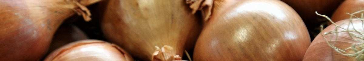 Найкращі сорти озимої цибулі: отримаєте величезні головки