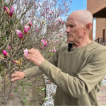 Захоплення переросло у справу життя: господар із Луцького району вирощує сотні магнолій