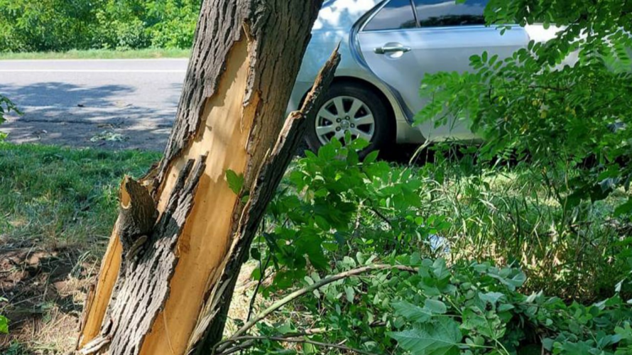 У Луцькому районі п'яний водій врізався у дерево: постраждали двоє людей