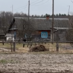 Сім хат посеред лісу: як живе хутір на Волині