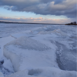 Зимова казка на Шацьких озерах: лід, сніг і тиха велич природи
