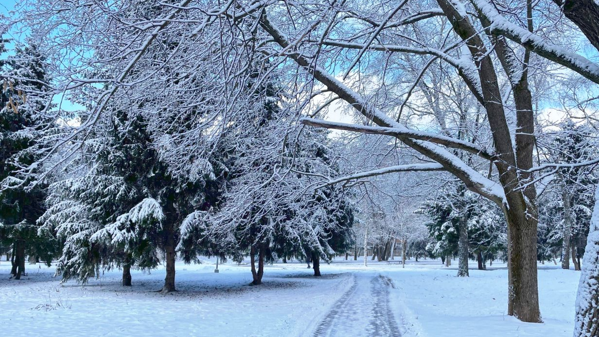 прогноз погоди, зима в україні