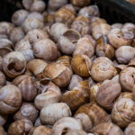 «Роблять трагедію з дрібниць»: після «равликового скандалу» на Волині фермер прокоментував ситуацію