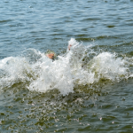 На Рівненщині в озері втопився 43-річний волинянин