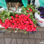 На Волині стартував сезон свіжої городини: скільки коштує домашня редиска, зелень і рукола