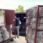 «Забагато допомоги»: Нова пошта зупинила збір посилок для херсонців
