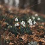 Погода в Україні на Великдень 2026