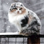 погода в Україні 18 литсопада