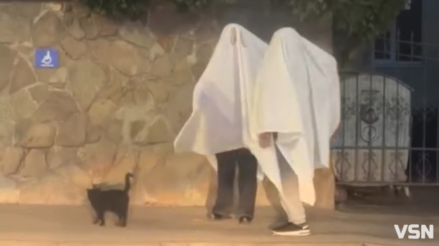 Геловін не відпускає: біля Луцької міськради помітили «привидів» із чорним котом