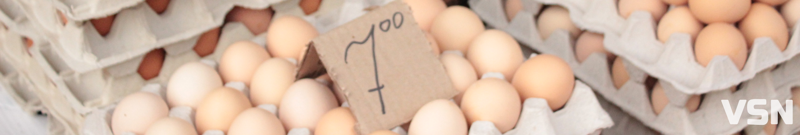 Скільки коштують яйця на ринках у Луцьку?