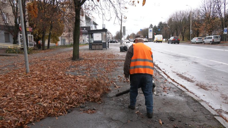 Куди комунальники дівають опале листя у Луцьку