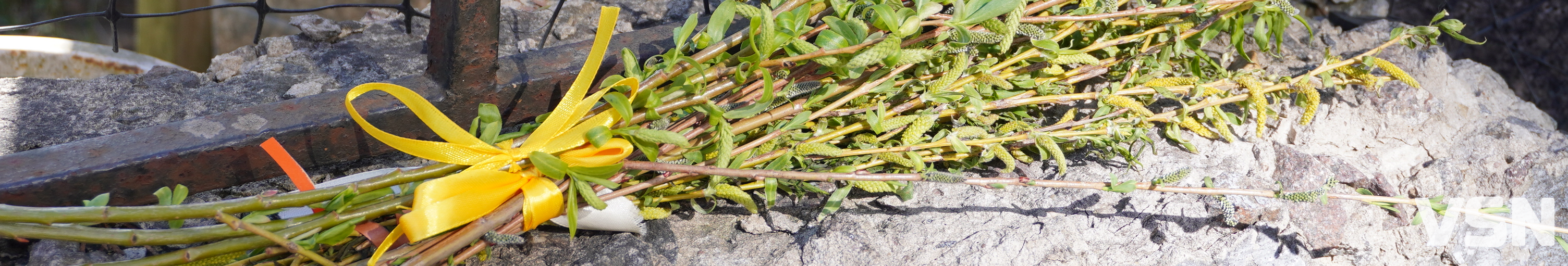 Сотні вірян прийшли освячувати вербу у головний собор Луцька. Фоторепортаж