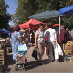 Свіже, домашнє та ще й можна поторгуватись: чим приваблює покупців літній базар у Луцьку