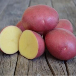 нові сорти картоплі