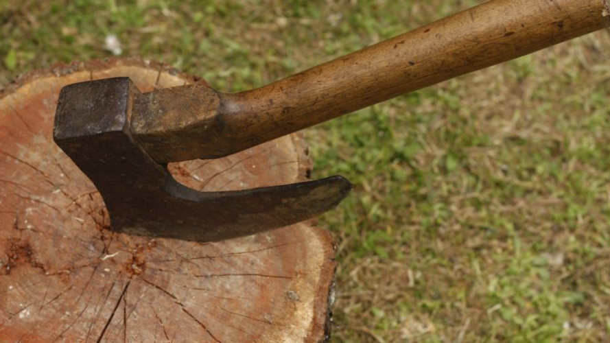 На Волині дворічний хлопчик травмувався сокирою: як покарали матір дитини