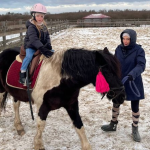 У Луцькій громаді в реабілітації військових допомагають коні