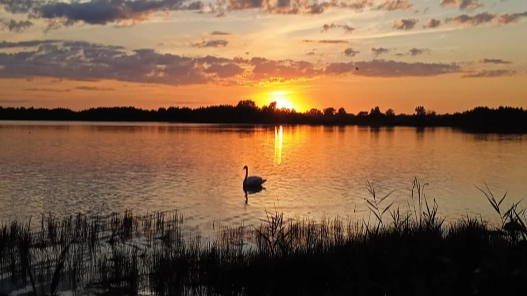 Мальовнича краса: показали світлини літнього вечора на волинському озері