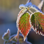 прогноз погоди в Україні