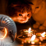 Де на Волині вимикатимуть світло 27 листопада - графік