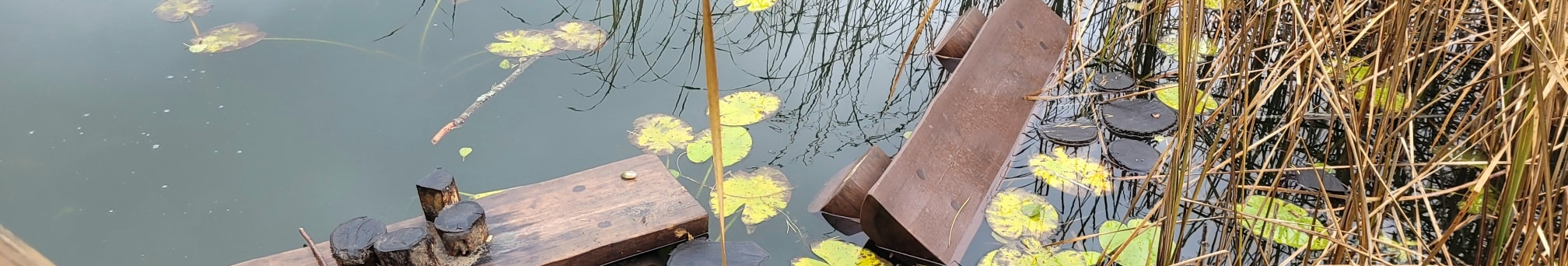 Невідомі понищили екостежку на території волинського нацпарку