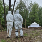 Волинська трагедія, Рівненщина