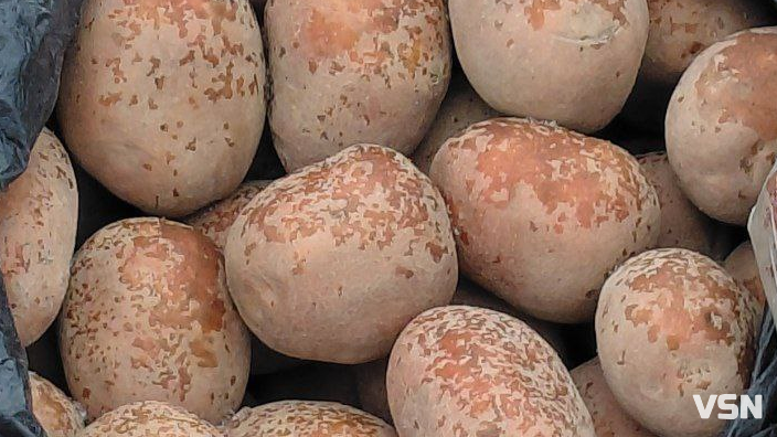 Скільки коштує картопля на ринках у Луцьку: огляд цін