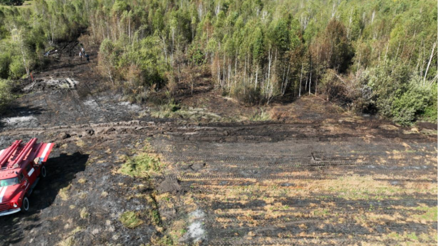 7 пожеж та 11 штрафів: на Волині масово карають паліїв сухостою