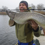 Як правильно ловити щуку у грудні, щоб точно отримати трофейну рибу