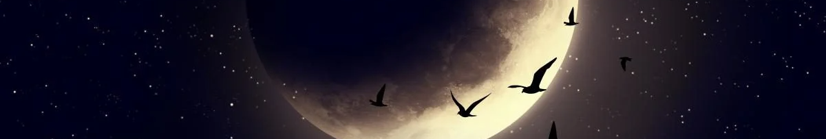 Через кілька днів - Молодик: що категорично не можна робити у новий Місяць