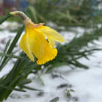 Погода в Україні 9 квітня