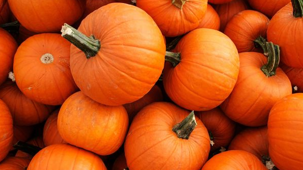 Де у Володимирі найдешевший гарбуз: огляд цін супермаркетів і ринку