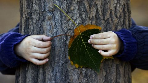 У Луцькій громаді відтермінували шкільні канікули