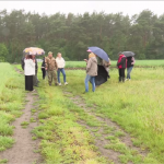 Село на межі екологічного лиха: жителі Брища заявляють про отруєння хімікатами та бездіяльність чиновників