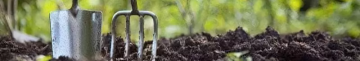 Посівний календар на серпень 2025 року