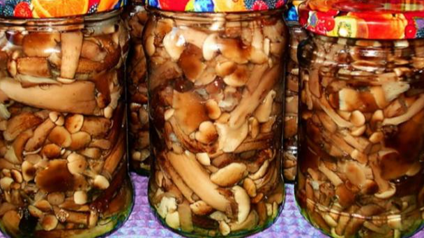 Мариновані опеньки на зиму: 3 рецепти з часником, гвоздикою та цибулею