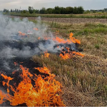На Волині трагічно загинув чоловік: тіло виявили під час пожежі сухої трави