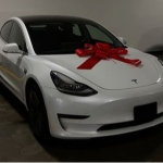 Tesla за 500 гривень: у Луцьку розігрують авто за донат