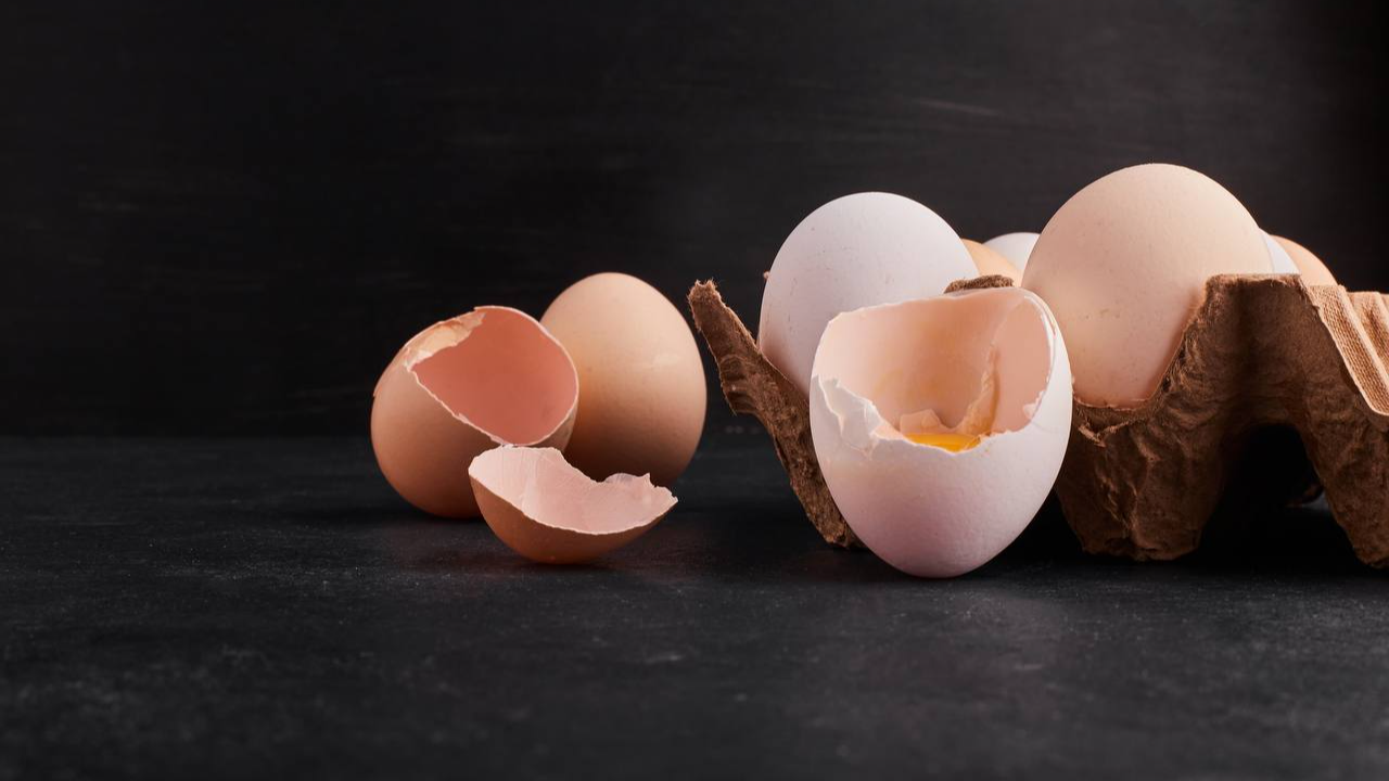 яєчна шкаралупа, добриво