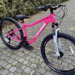 Лучанку засудили на 5 років увʼязнення за крадіжки велосипедів: що відомо