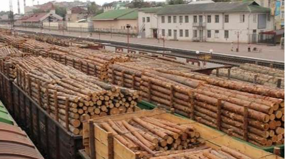 Волинь забезпечуватиме деревиною усю прифронтову Миколаївщину, уже поїхали перші вагони