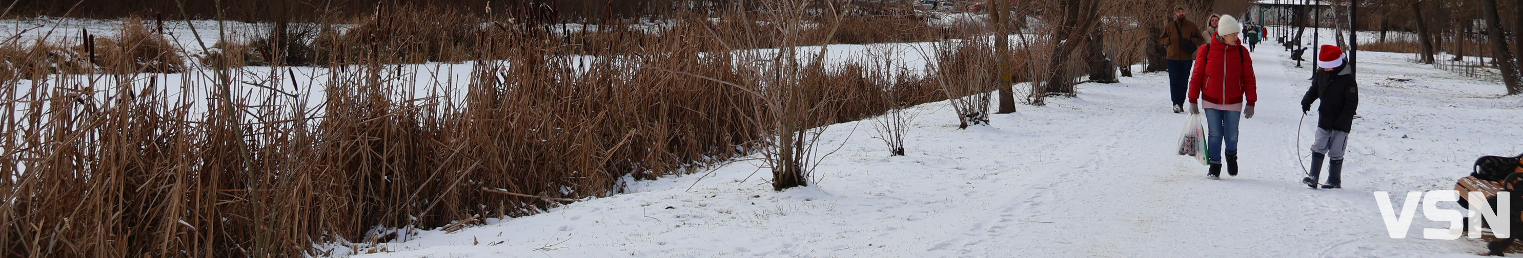 Останній день 2025 у Луцьку: місто в очікуванні Нового року. Фоторепортаж