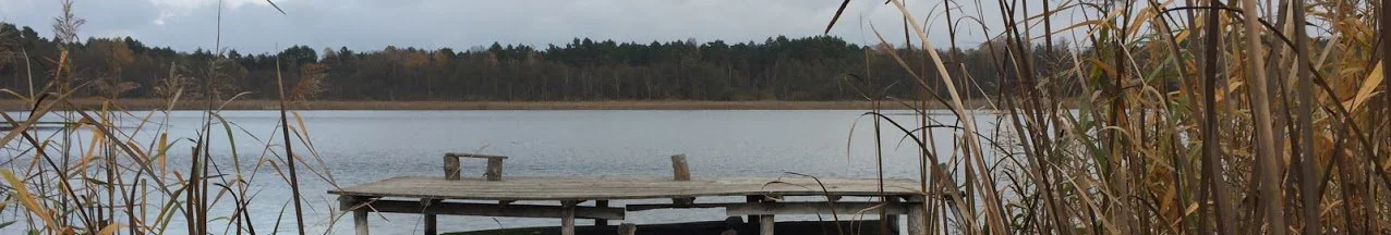 Там «водяться» русалки: де на Волині є озеро з кришталевою водою