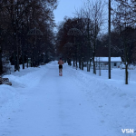 У луцькому парку в мороз –17 °C помітили бігуна без одягу
