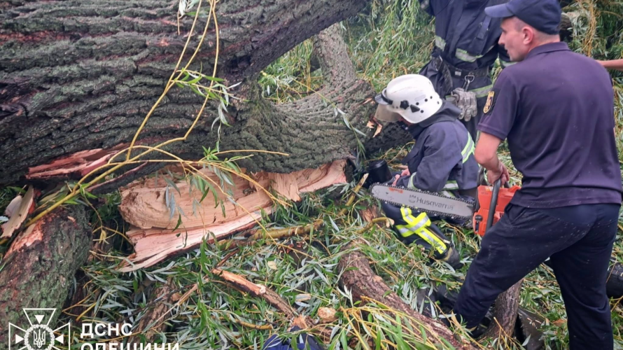 дерева впало на намет з підлітками, Одеська область
